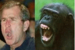 Bush & Chimpy
